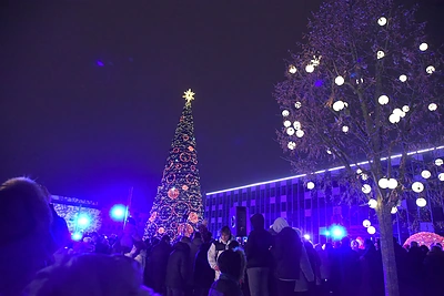 Šalčininkų Kalėdų eglė / Šalčininkų savivaldybės nuotr.