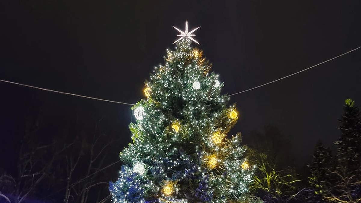 Zarasų Kalėdų eglė / Zarasų rajono savivaldybės nuotr.
