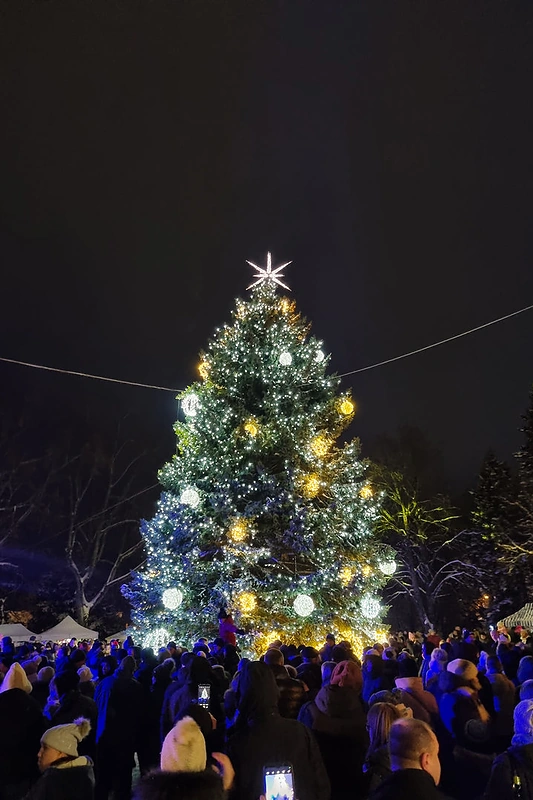 Zarasų Kalėdų eglė / Zarasų rajono savivaldybės nuotr.