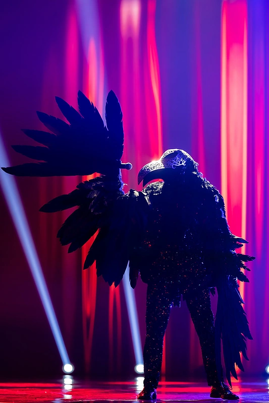 Šou „Kaukės“ finalistai / Svetlanos Bolnienės nuotr.