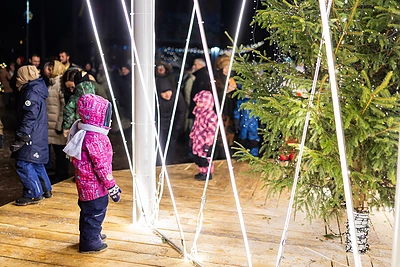 Molėtuose sutvisko meninė instaliacija su kalėdine egle