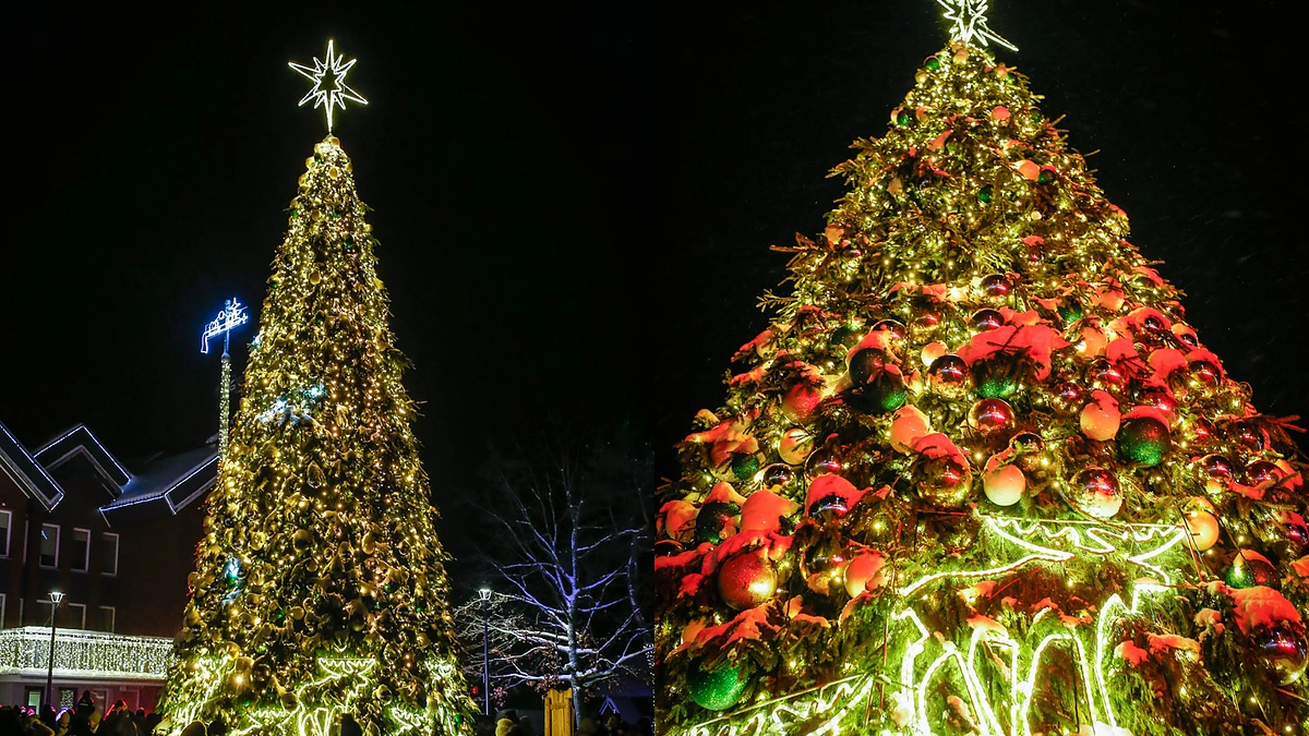 Nidos Kalėdų eglė / Vytauto Petriko nuotr.