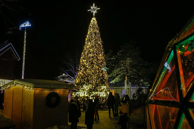 Nidos Kalėdų eglės įžiebimas / Vytauto Petriko nuotr.