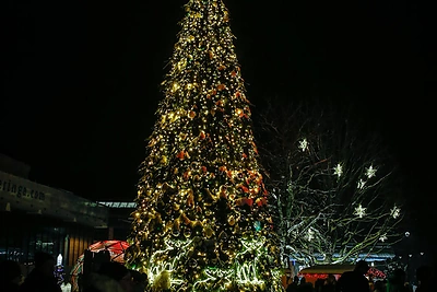 Nidos Kalėdų eglės įžiebimas / Vytauto Petriko nuotr.