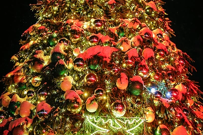 Nidos Kalėdų eglės įžiebimas / Vytauto Petriko nuotr.