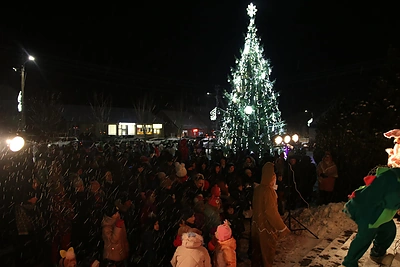 Skaudvilės Kalėdų eglės įžiebimas / Linos Mačiulės nuotr.