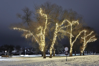 Ukmergės kalėdų eglės įžiebimas / Dainiaus Vyto nuotr.