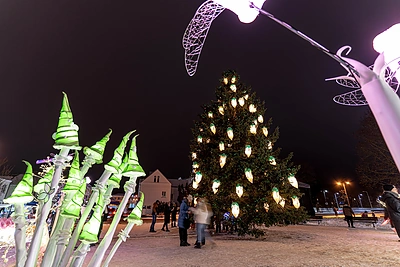 Pasvalio miesto eglutės įžiebimo akimirkos / Organizatorių nuotr.