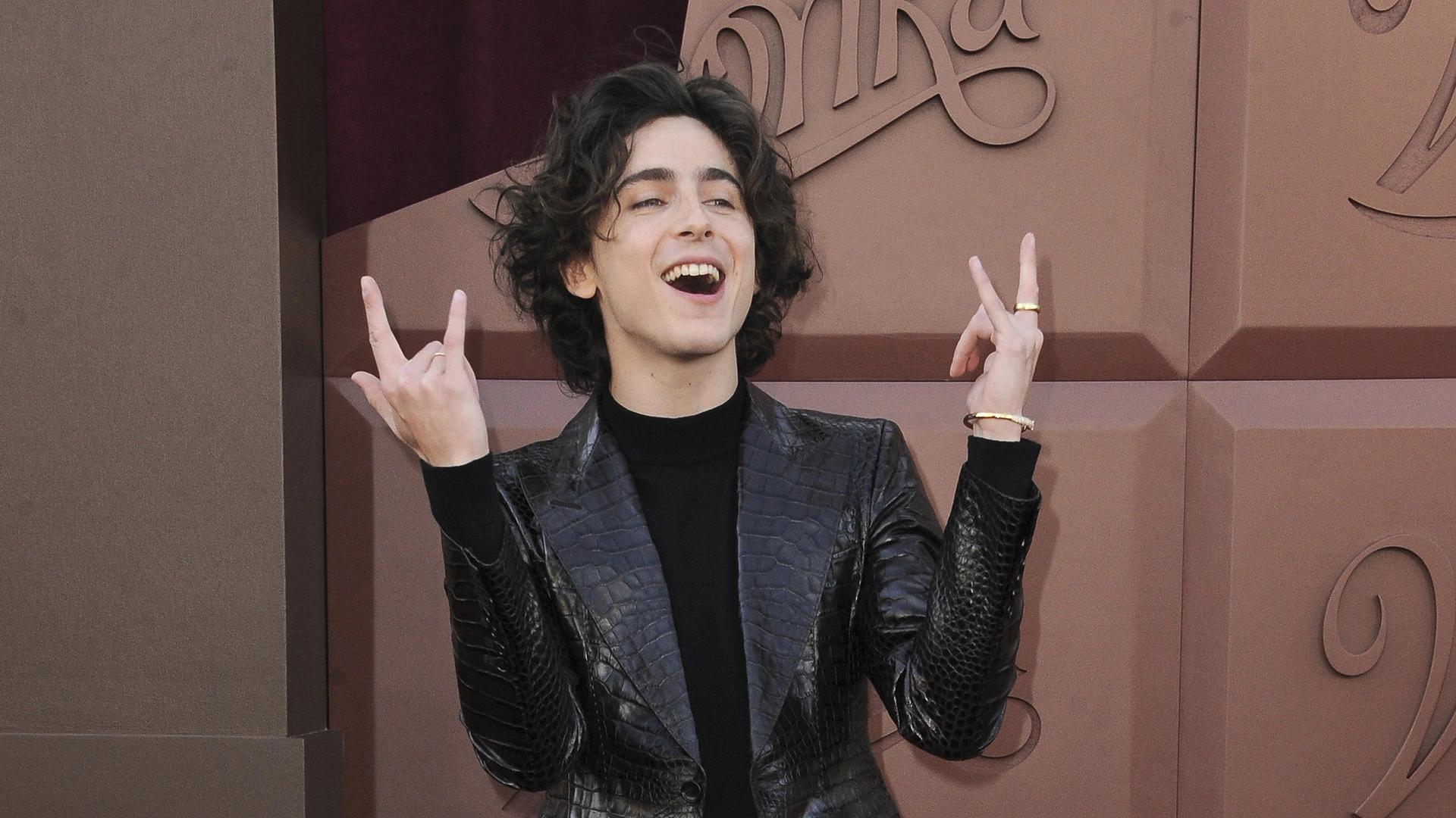 Timothée Chalamet / Vida Press nuotrauka