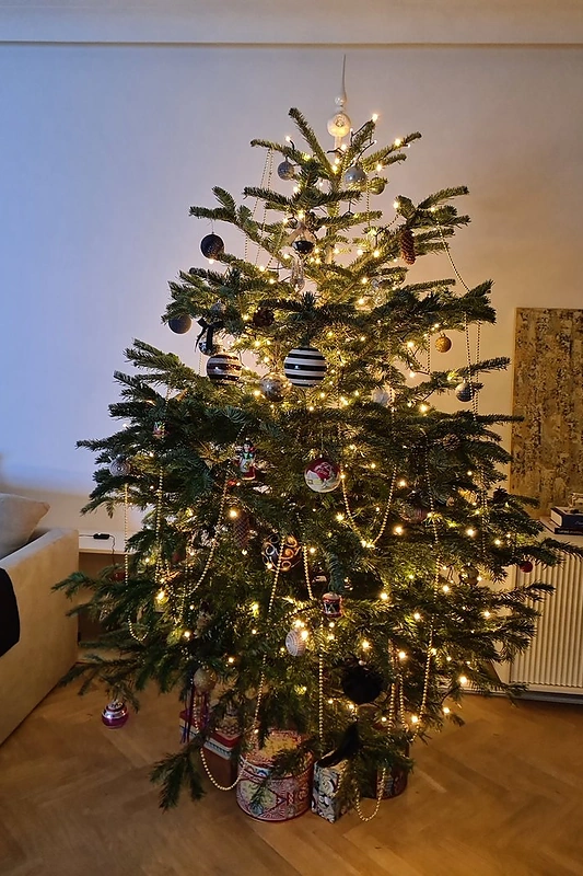 Kalėdiniai Edvardo Žičkaus namai