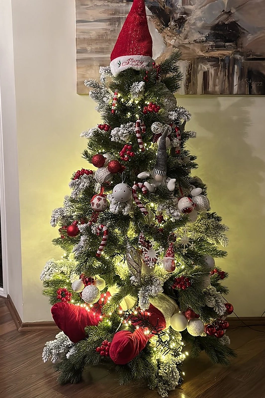 Kalėdiškai papuošti Katažinos Zvonkuvienės namai / Asmeninio archyvo nuotr.