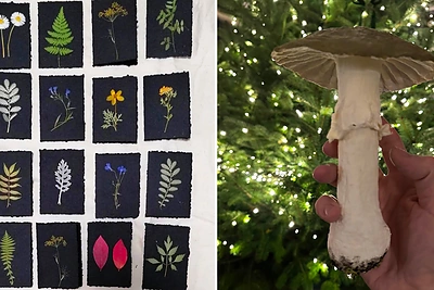 Alfo Ivanausko Kalėdų eglė / Asmeninio albumo nuotr.