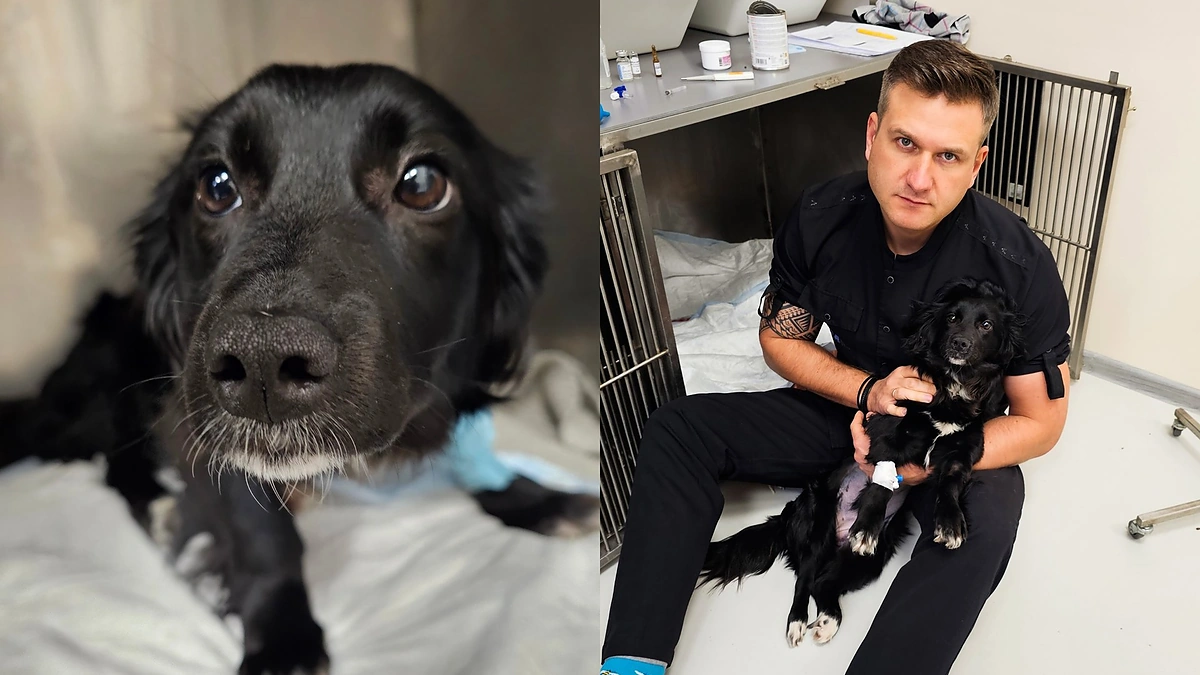 Spurga ir Paulius Morkūnas / Asmeninio albumo nuotr.