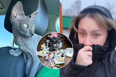 Sandra Žutautienė neteko mylimo Mikio: paieška kaip iš kriminalinio filmo ir baisi atomazga