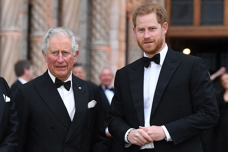 Karalius Karolis III, princas Harry / Vida Press nuotr.