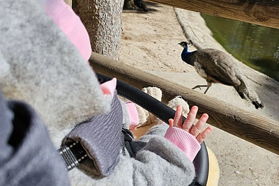 Donatos Virbilaitės kelionės akimirka / Asmeninio archyvo nuotr.