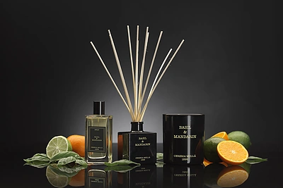 CERERIA MOLLA namų kvapas su lazdelėmis “Basil & Mandarin” / Evelina Rimkutė nuotr.