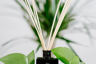 CERERIA MOLLA namų kvapas su lazdelėmis “Tea & Lemongrass'' / Evelina Rimkutė nuotr.