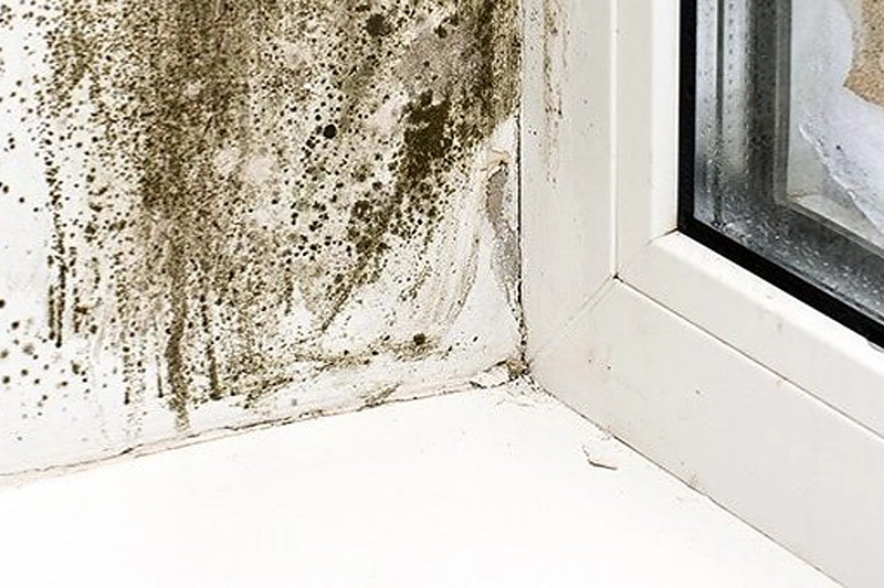 Šildymo laikotarpis eina į pabaigą: kaip kovoti su drėgmės pertekliumi? / Henkel Balti OÜ nuotr.