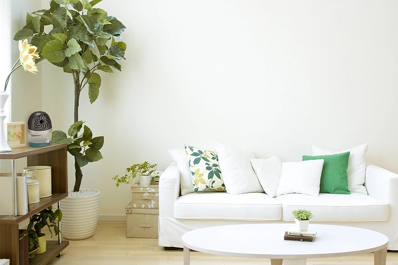 Šildymo laikotarpis eina į pabaigą: kaip kovoti su drėgmės pertekliumi? / Henkel Balti OÜ nuotr.