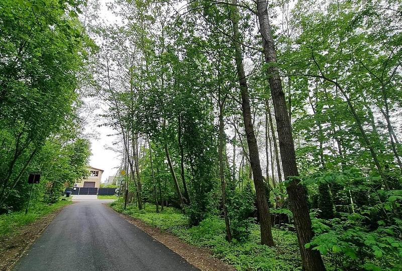 Aivaras Stumbras kaip savo teritoriją apsitvėrė valstybinį mišką / TV3 stopkadras