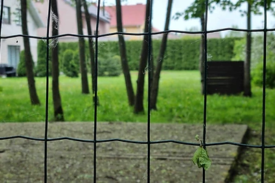 Aivaras Stumbras kaip savo teritoriją apsitvėrė valstybinį mišką / TV3 stopkadras