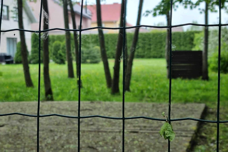 Aivaras Stumbras kaip savo teritoriją apsitvėrė valstybinį mišką / TV3 stopkadras