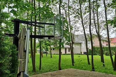 Aivaras Stumbras kaip savo teritoriją apsitvėrė valstybinį mišką / TV3 stopkadras