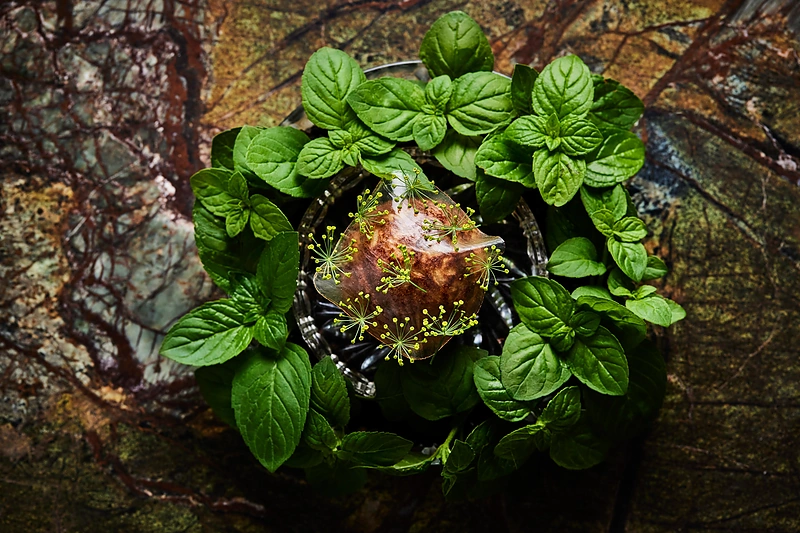 „Demo restoranas“ / Roberto Daskevičiaus nuotr.