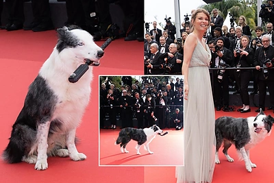 Kanų festivalis prasidėjo netikėtumu: raudonuoju kilimu pirmasis žengė kino žvaigždė – šuo Messi