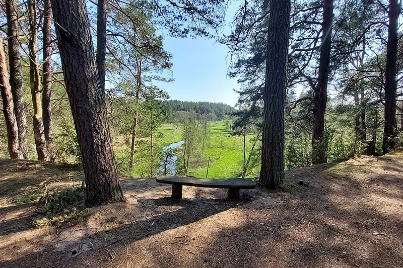 Zackagirio pažintiniame take -Šaudyklos kalnas / Simonos Balčaitės nuotr.