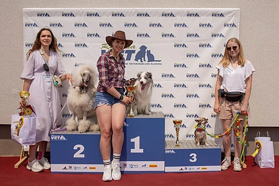 „Kauno šuns“ rinkimai / Akvilės Šurkutės nuotr.