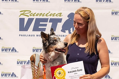 „Kauno šuns“ rinkimai / Akvilės Šurkutės nuotr.