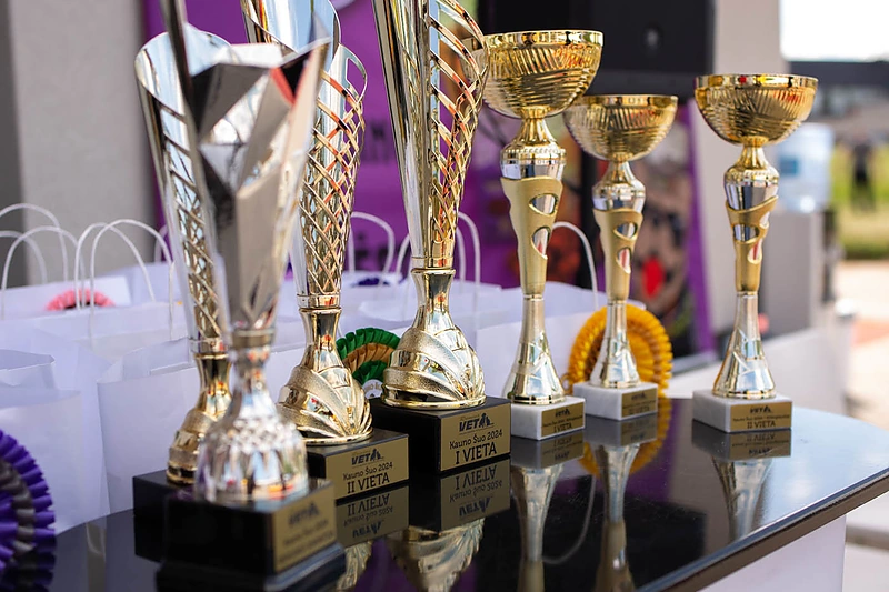 „Kauno šuns“ rinkimai / Akvilės Šurkutės nuotr.