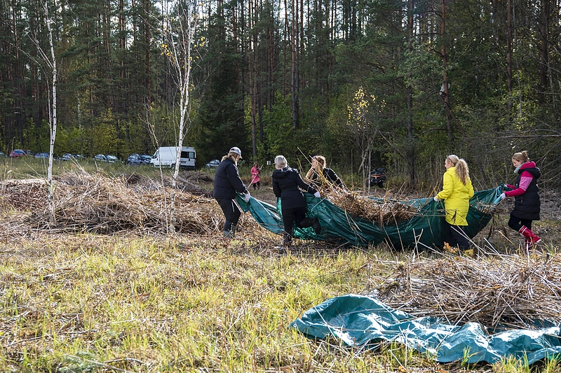 Pekla ar gyvybės pradžia? Atskleidė, kaip kiekvienas grožio entuziastas gali prisidėti prie pelkių išsaugojimo / E.Čašėj nuotr.