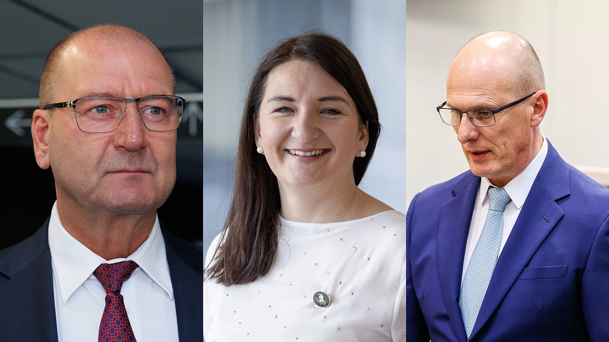 Viktoras Uspaskichas, Austėja Landsbergienė, Vidmantas Dambrauskas / BNS nuotr.