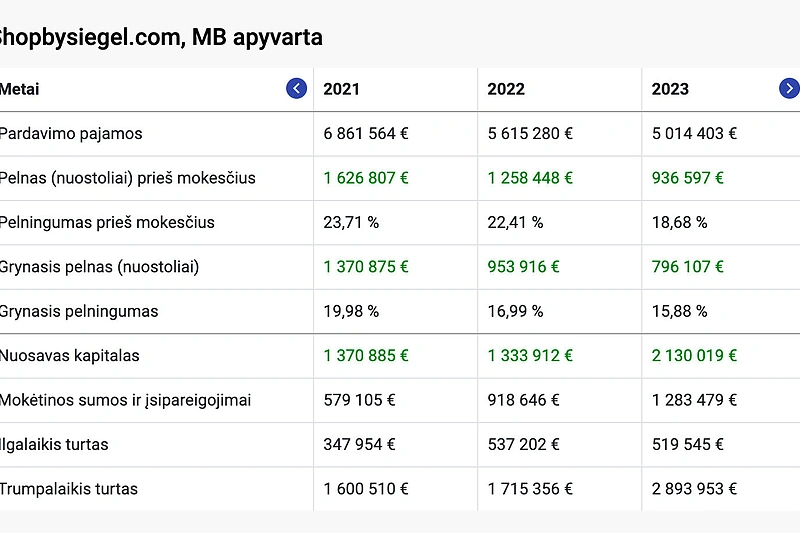 Viktorijos Siegel pateikta įmonės finansinė ataskaita