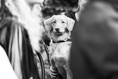 Justino Jankevičiaus ir Gretos Mikalauskytės vestuvės / Gusto Siko nuotr.