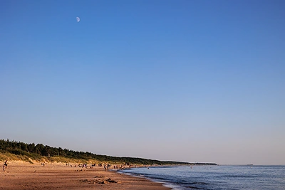 Paplūdimyje Neringoje rastas žmogaus kaulo fragmentas