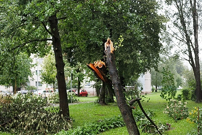 Lietuvą siaubianti audra nusinešė gyvybę: užgriuvus medžiui žuvo žmogus