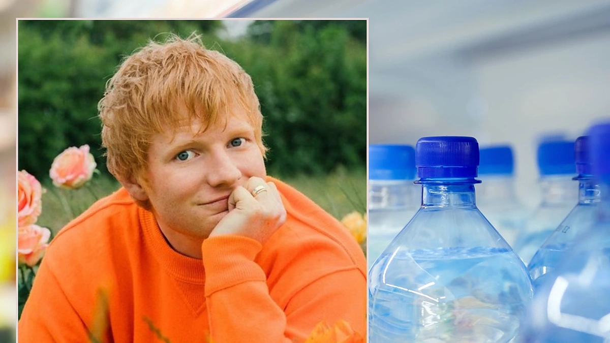 Edas Sheeranas / Zahary Walter, 123rf.com nuotr.