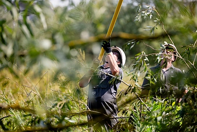 Gyventojai jau gali teikti prašymus, kad ESO atlygintų tiesioginius audros sukeltus nuostolius