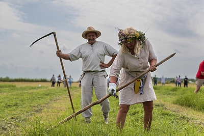 Šienpjoviai iš Švendubrės, Dzūkija / Baltijos aplinkos forumo nuotr.