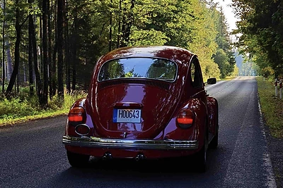 Džordanos Butkutės automobilis / Asmeninio archyvo nuotr.