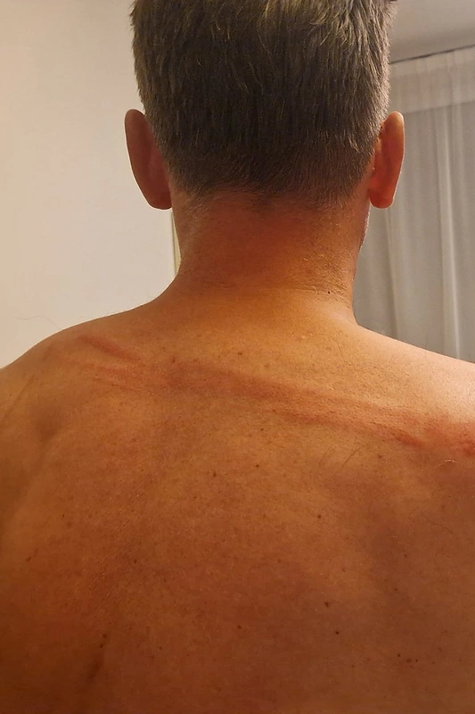 Alkas Paltarokas pateko į konfliktą Palomenėje / Asmeninio archyvo nuotr.