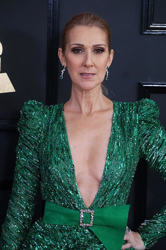 Celine Dion / Vida Press nuotr.