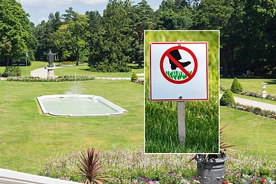Palangos botanikos parke nustebino draudimas gulėti ant žolės: „Pasakė – mokėkite 100 eurų“