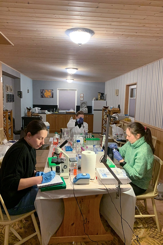 Iš lauko mokslininkų darbai persikelia į improvizuotą laboratoriją / Lauros Stukonytės nuotrauka