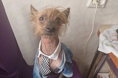 Radžio šuo Bari / Asmeninio archyvo nuotr.