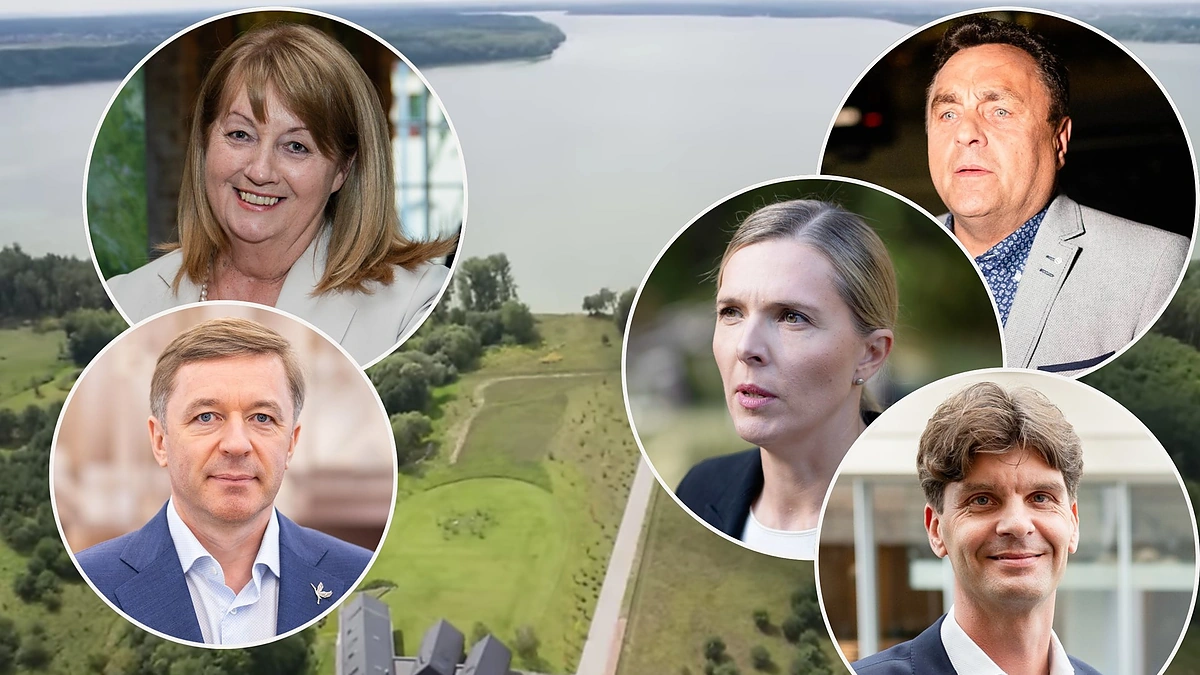 Petras Gražulis, Vilija Blinkevičiūtė, Ignas Vėgelė, Ramūnas Karbauskis, Agnė Bilotaitė / Teodoro Biliūno, Luko Balandžio, Irmanto Gelūno, Žygimanto Gedvilos, Roberto Riabovo nuotr.